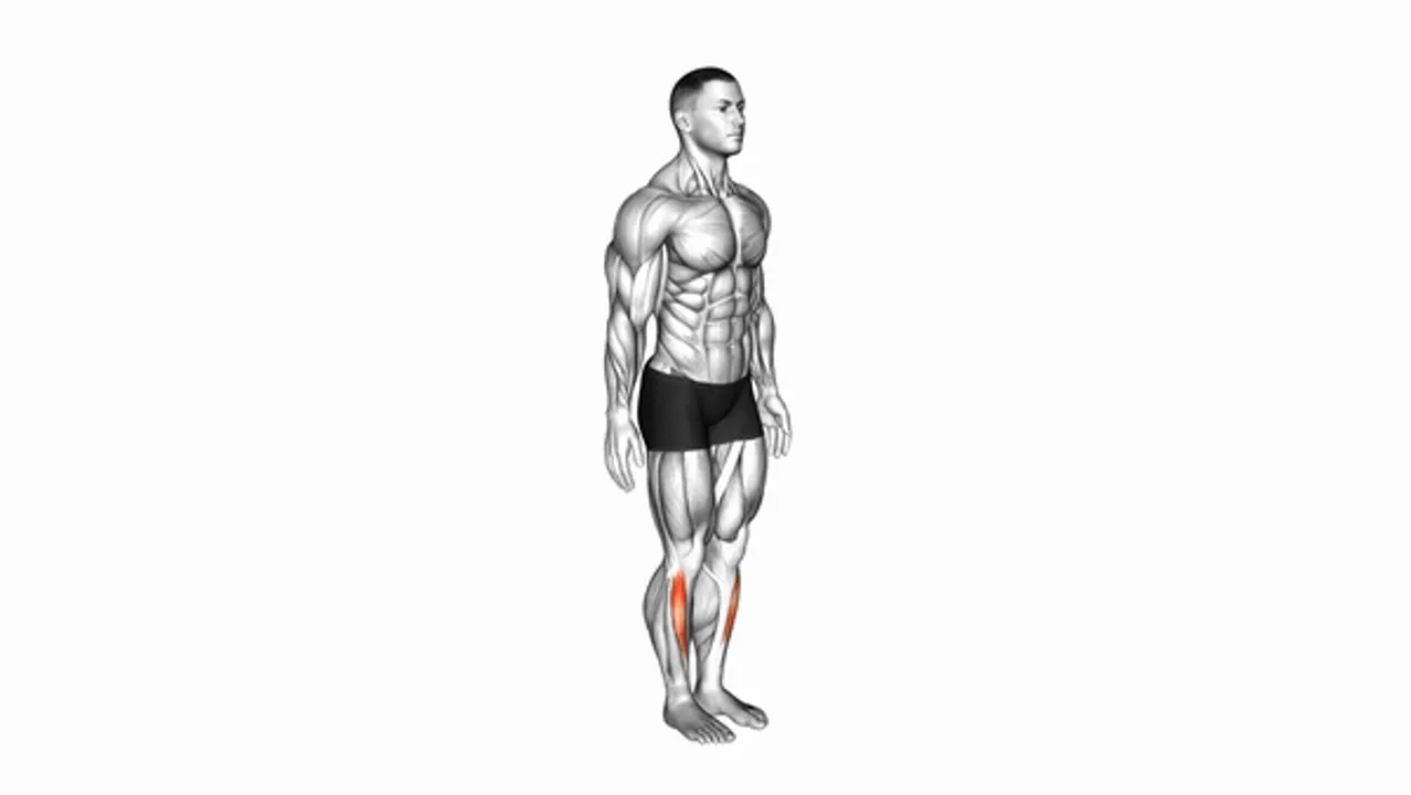 Ankle Dorsal Flexion