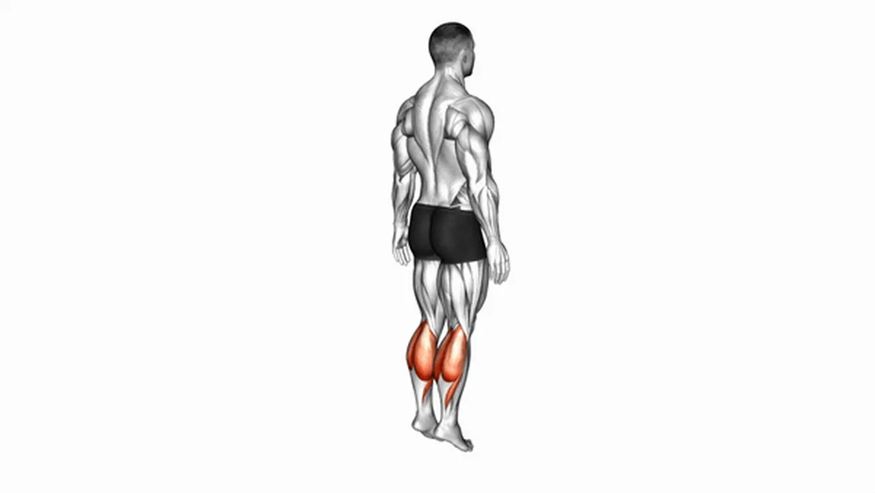 Common ankle plantar flexion variations Image