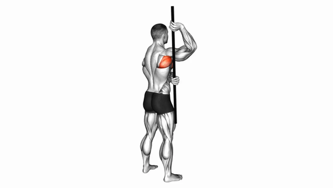 Alternatives to the Arm Up Rotator Stretch Image