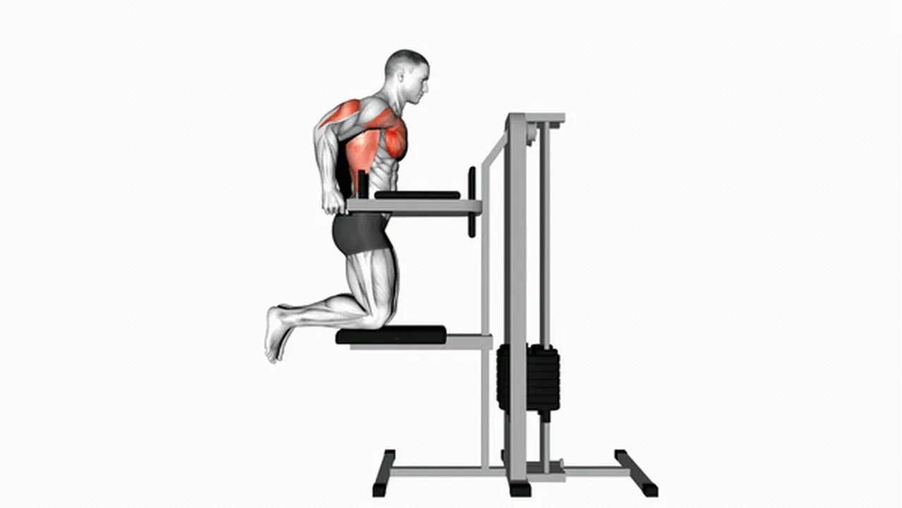 Common variations of Assisted Chest Dips Image