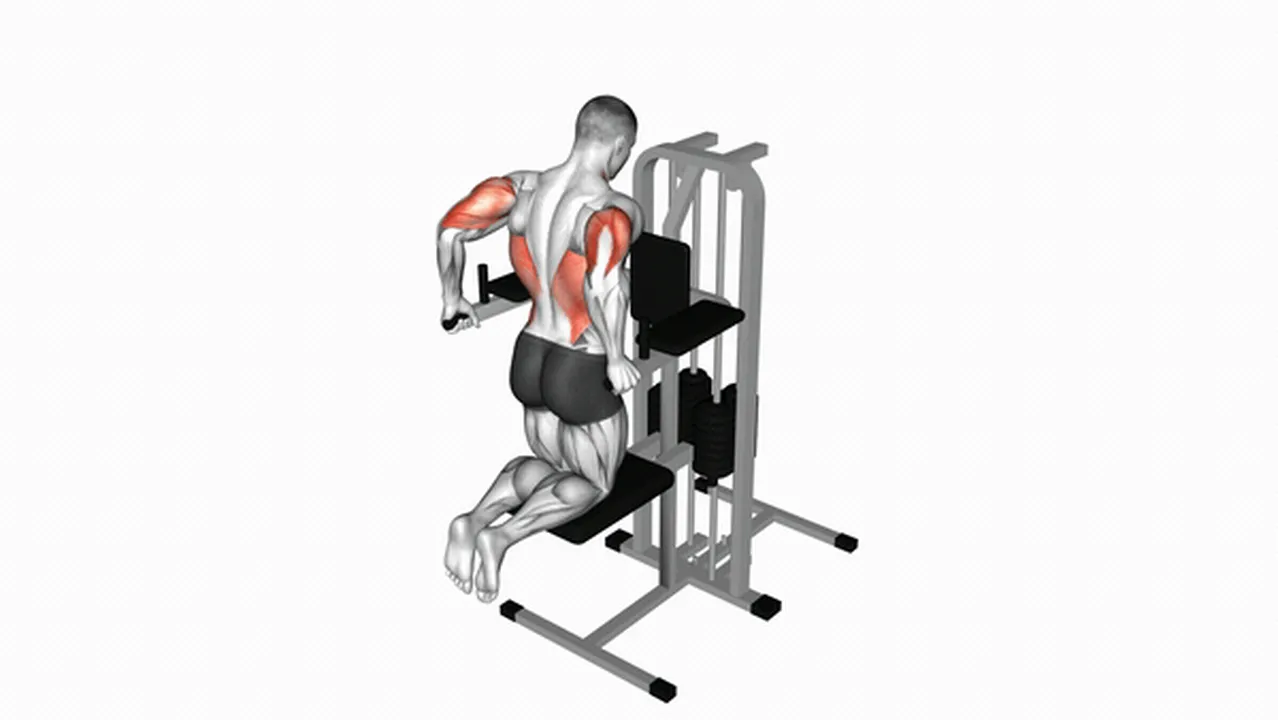 Alternatives to Assisted Triceps Dips Image