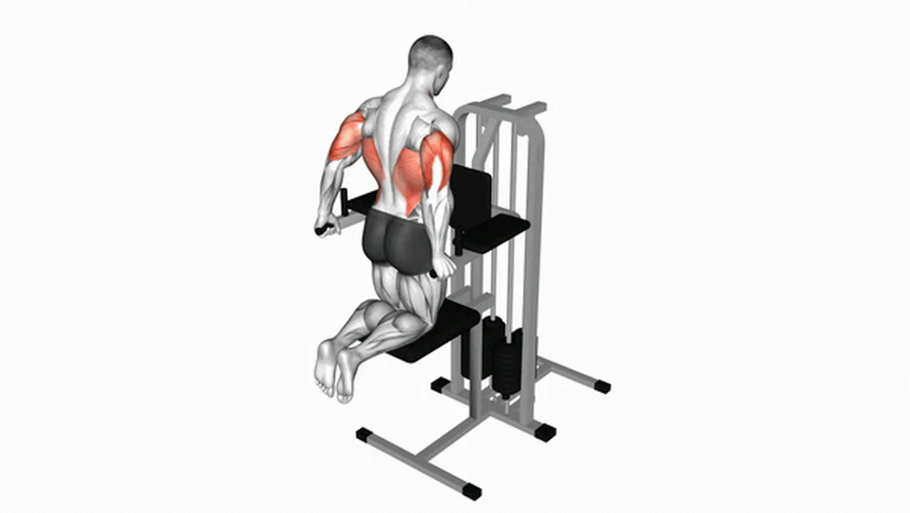 Common mistakes during Assisted Triceps Dips Image