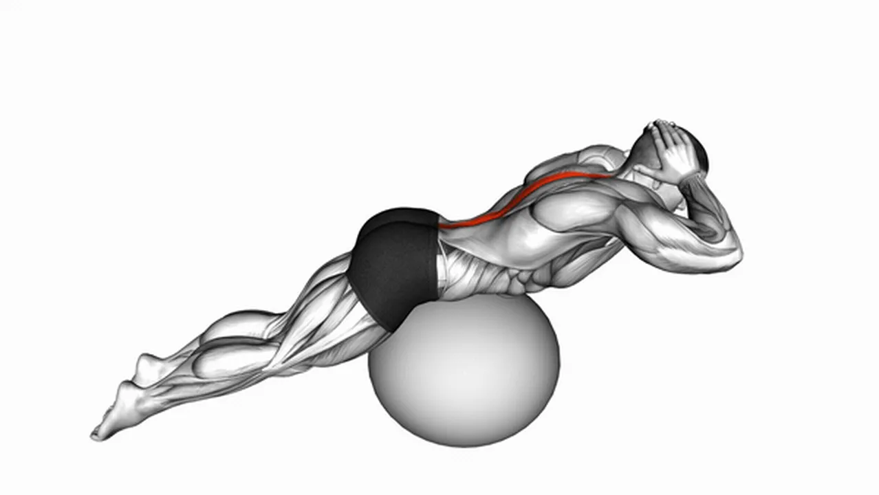 How to do back extensions on exercise ball? Image