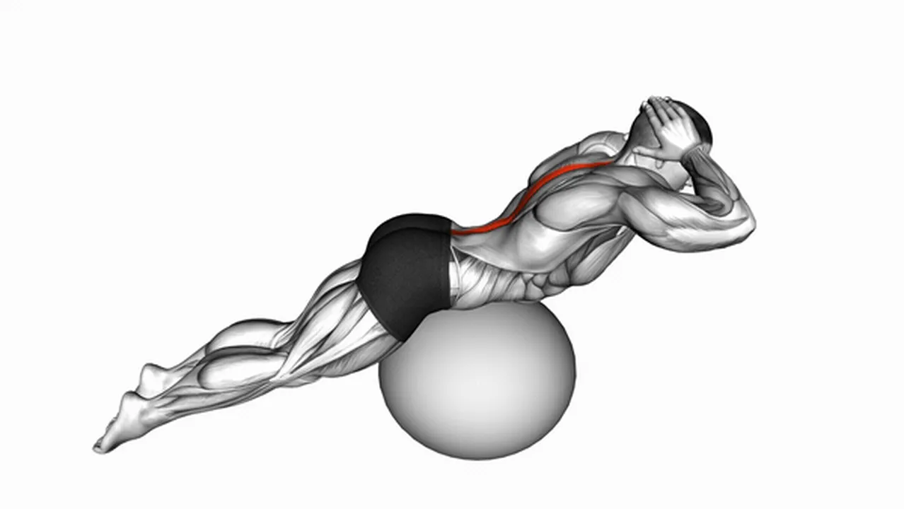 Common back extension on exercise ball variations Image