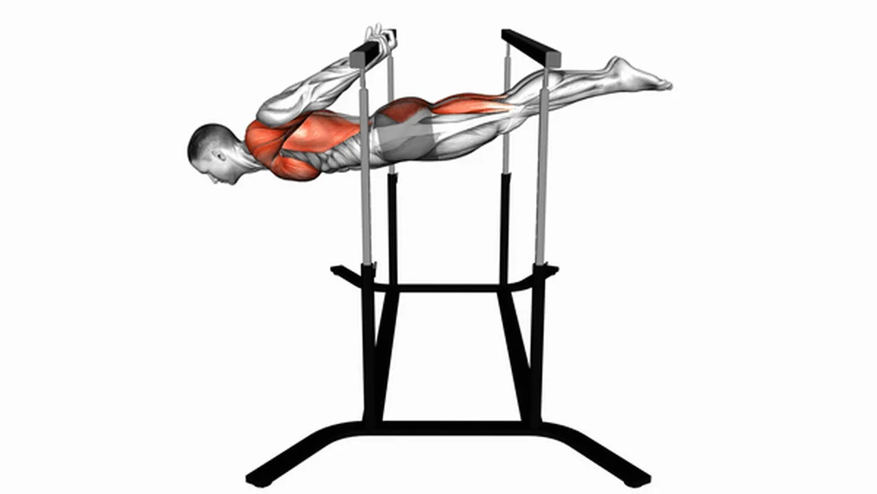 Common back lever variations Image