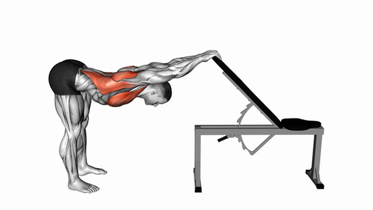 What are the benefits of the Back and Pec Stretch? Image