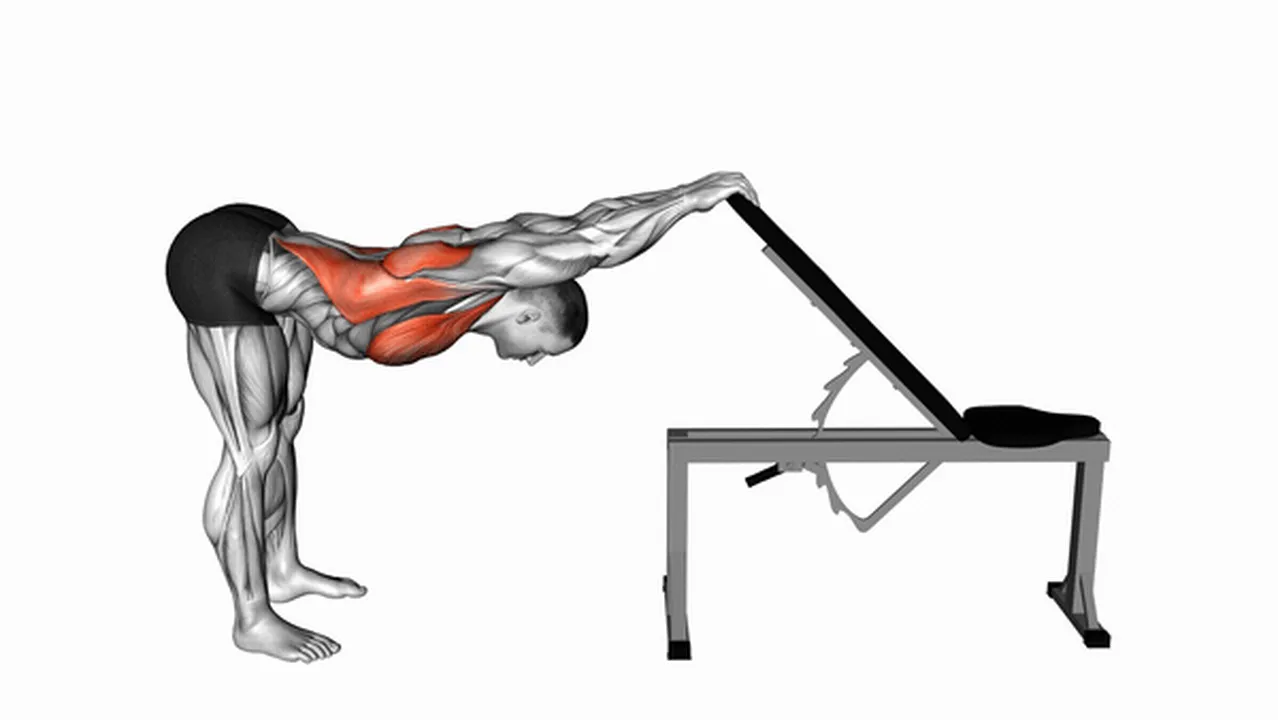 Common variations of the Back and Pec Stretch Image