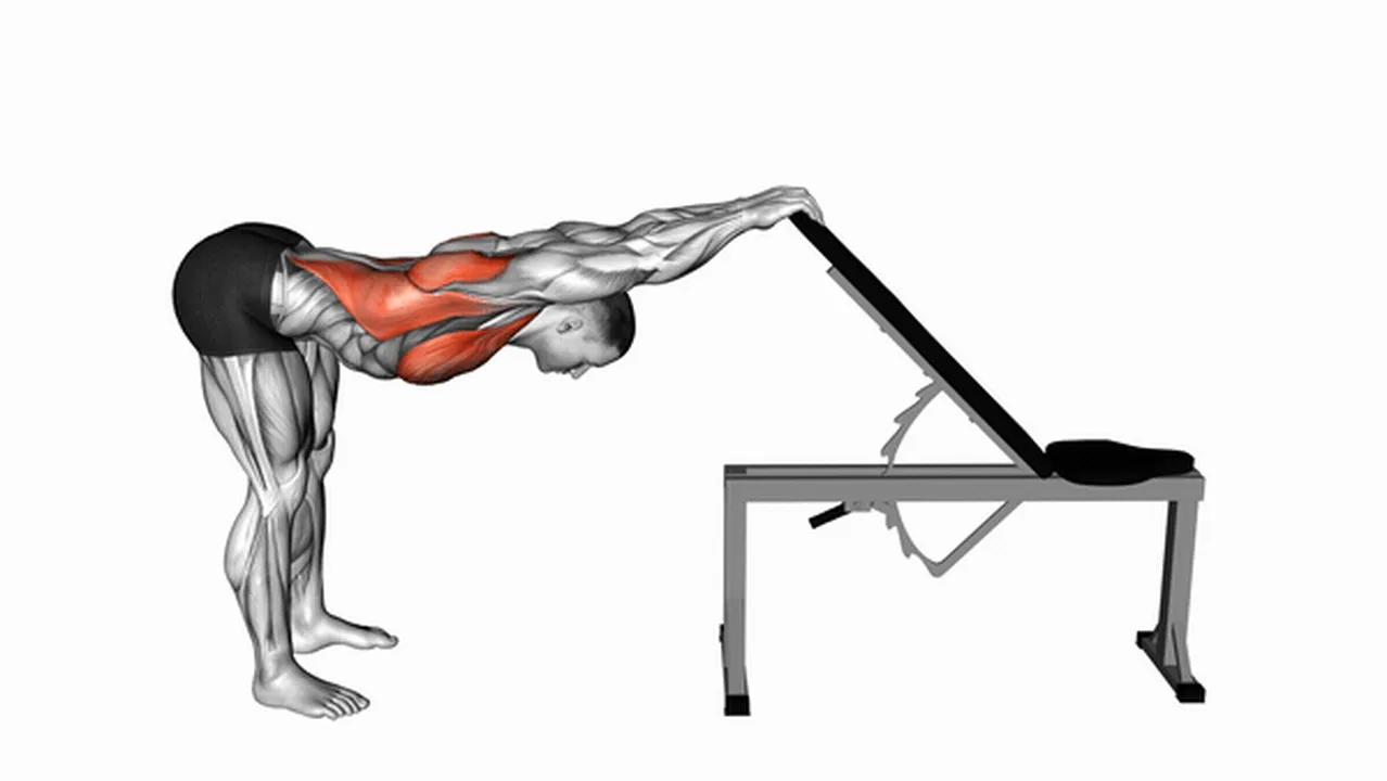 Alternatives to the Back and Pec Stretch Image