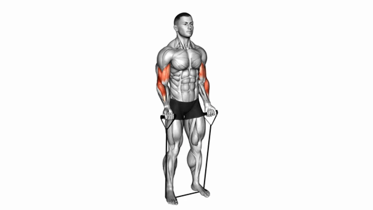 Band Alternating Biceps Curl