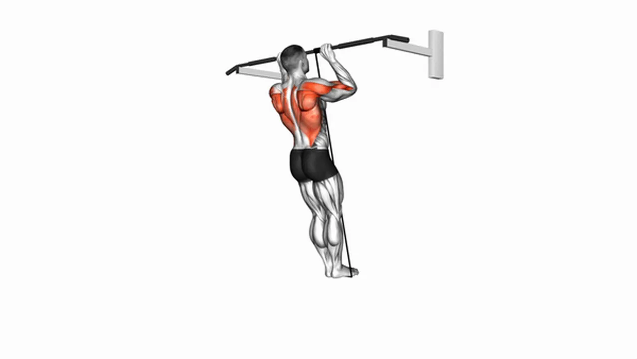 Common Band Assisted Pull Up variations Image