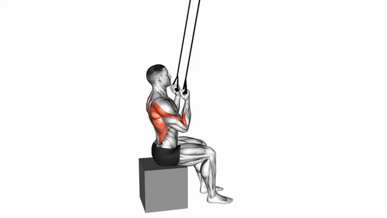 Alternatives to Band Fixed Back Underhand Pulldown Image