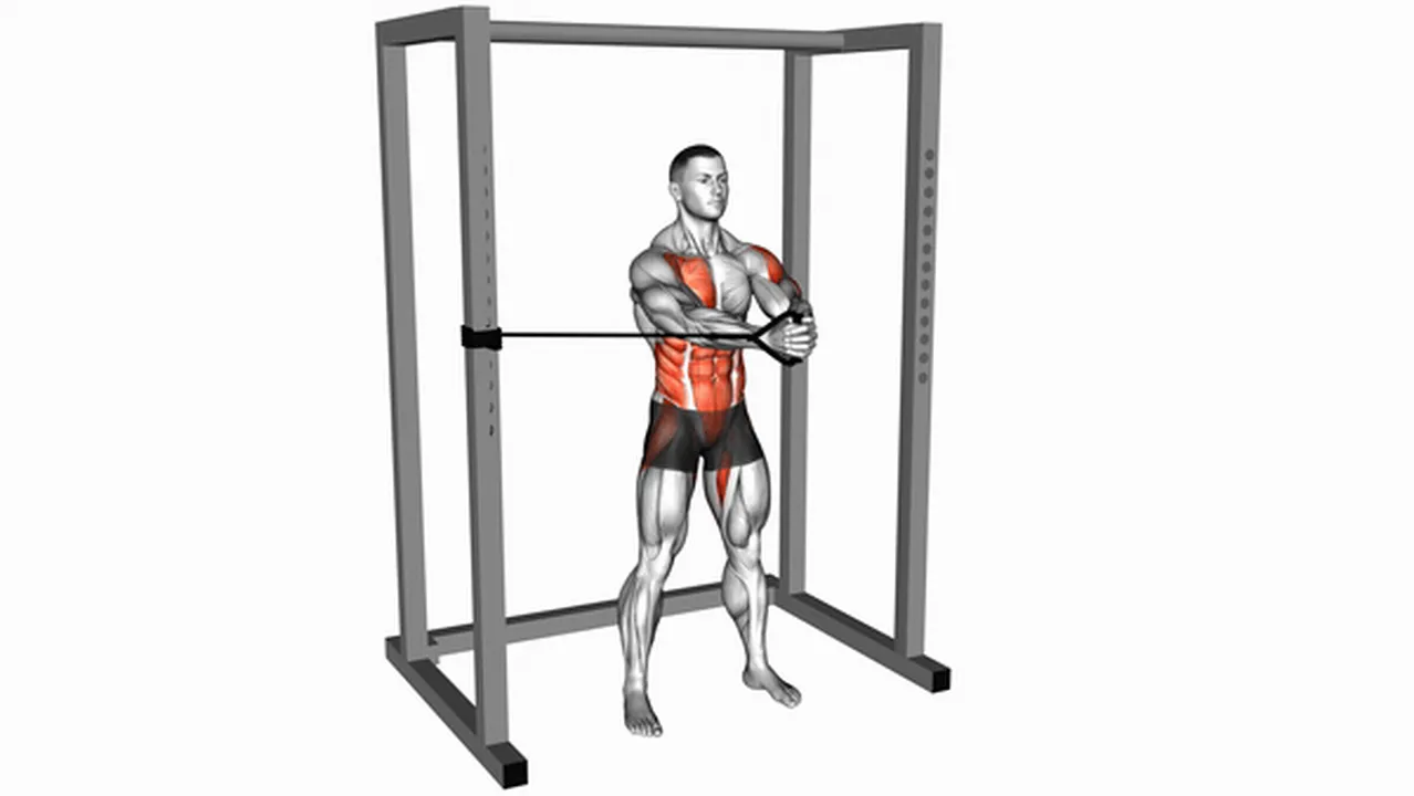 How to do the Band Horizontal Pallof Press? Image