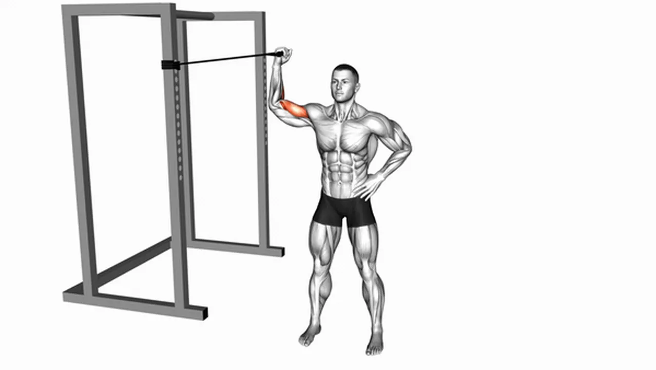 Common Band One Arm Overhead Biceps Curl variations Image