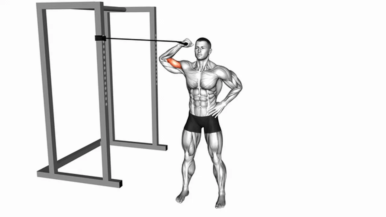 Alternatives to Band One Arm Overhead Biceps Curls Image