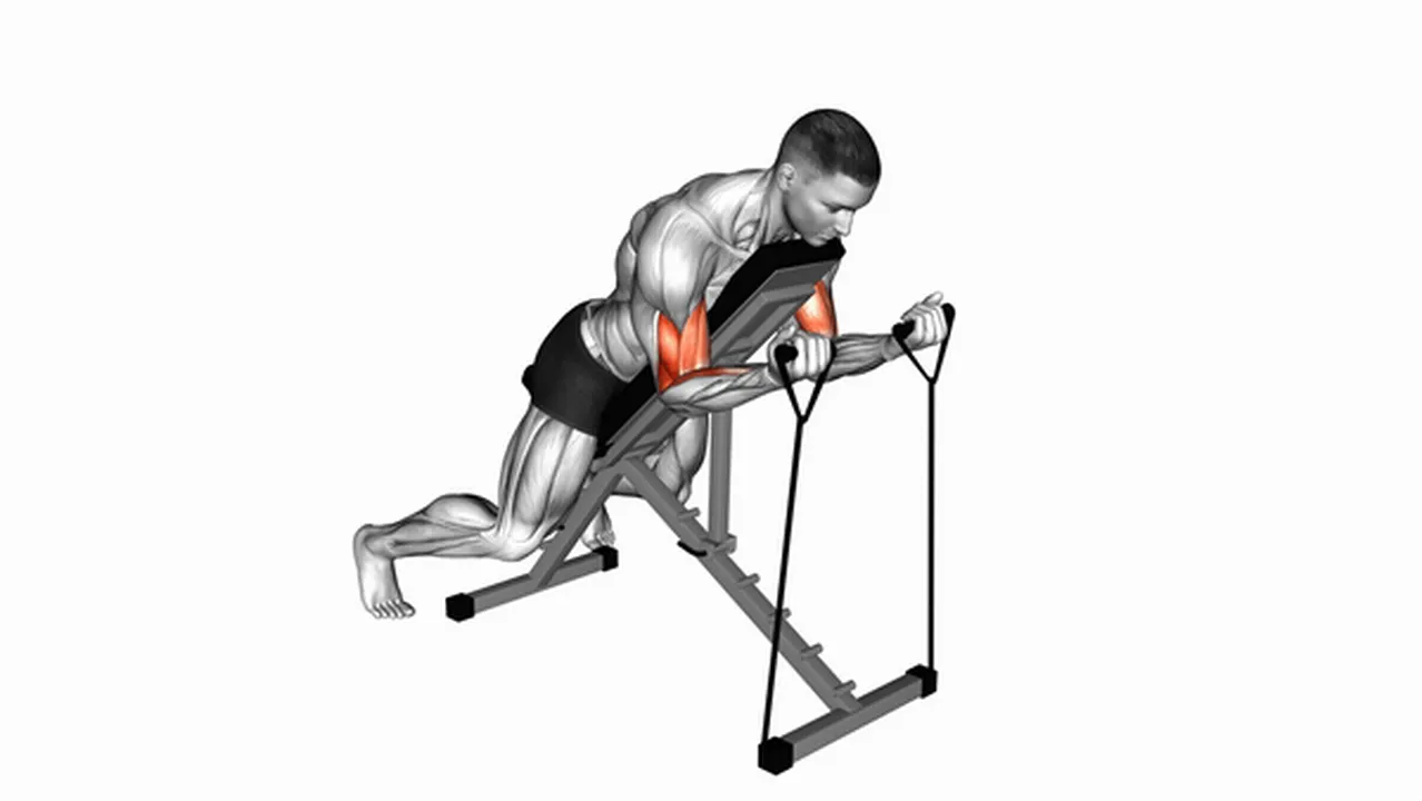 Alternatives to the Band Prone Incline Curl Image