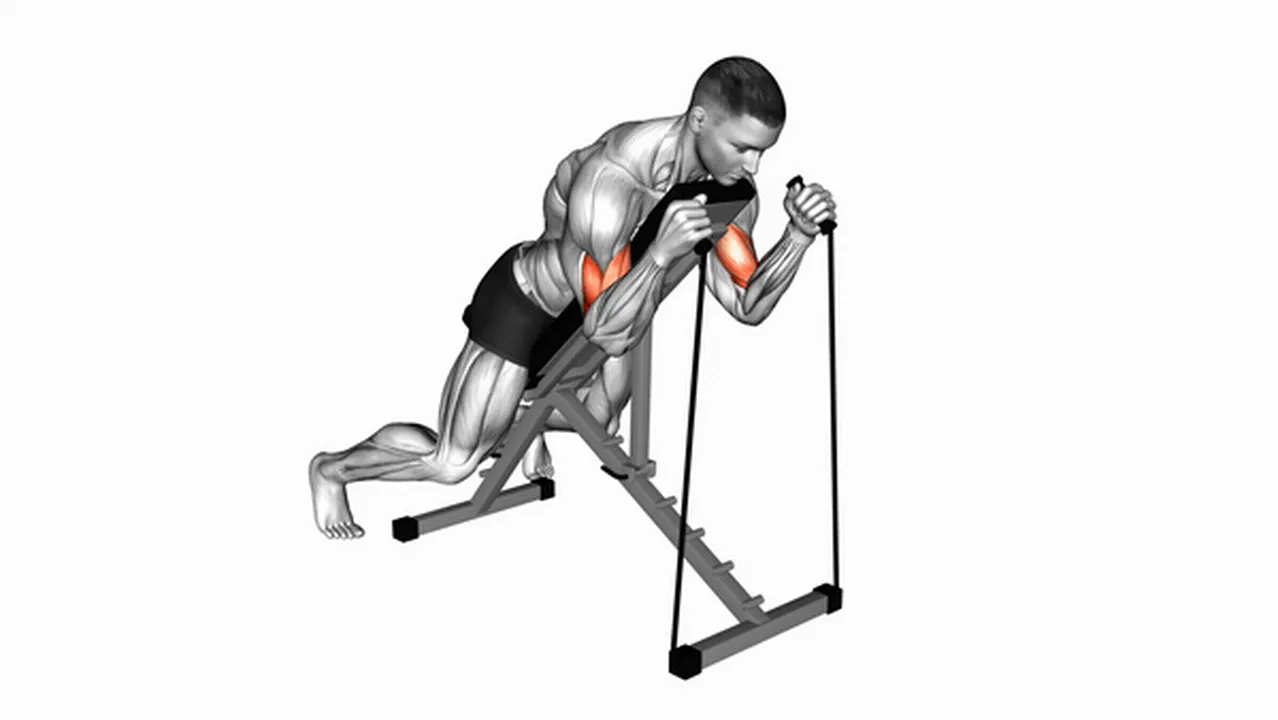 How to do Band Prone Incline Hammer Curls? Image