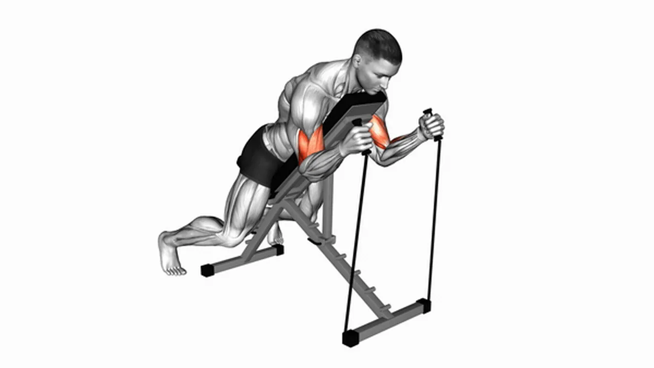 Common variations of Band Prone Incline Hammer Curls Image