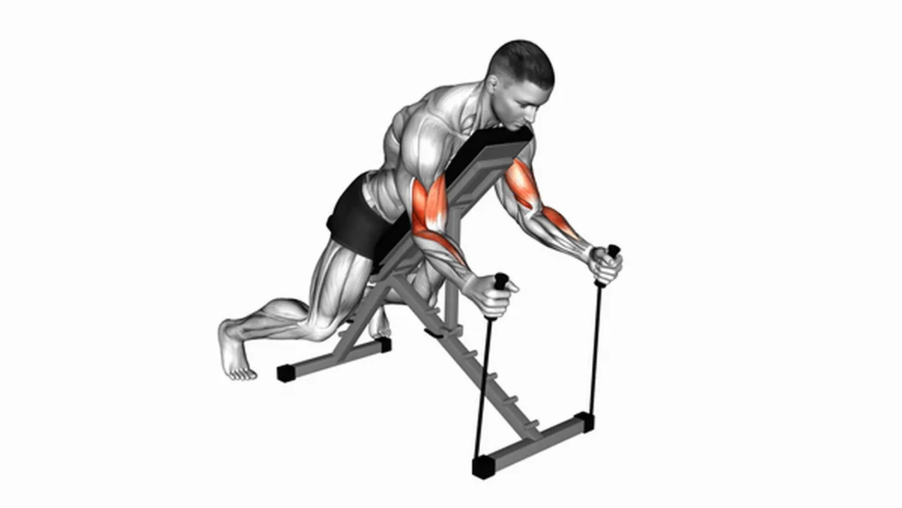 Alternatives to Band Prone Incline Hammer Curls Image