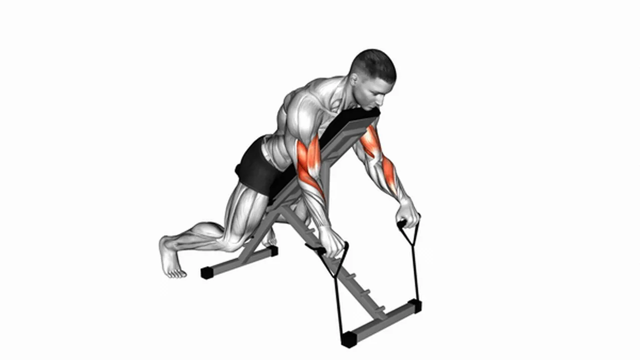 What are the benefits of the Band Reverse Spider Curl? Image