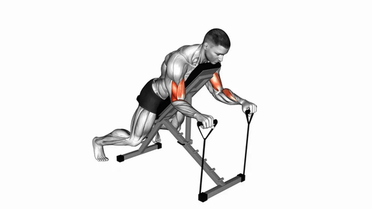 How to do the Band Reverse Spider Curl? Image