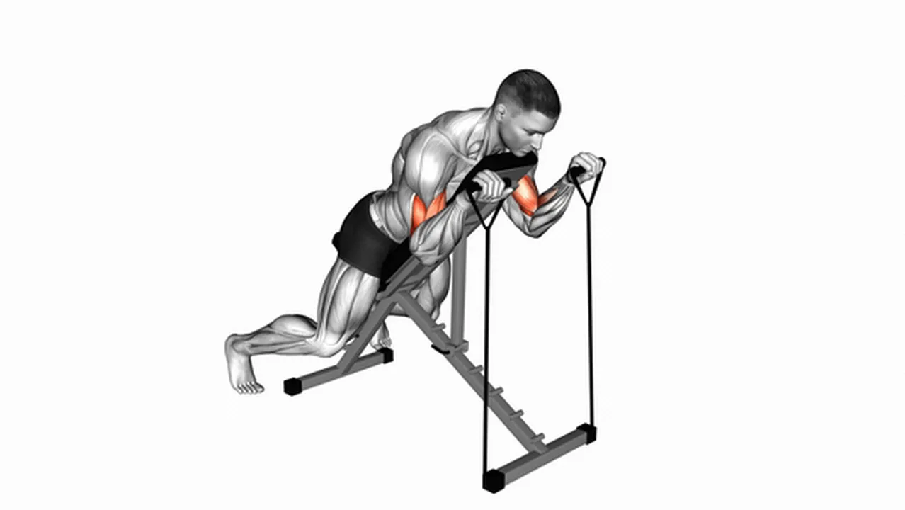 Alternatives to Band Reverse Spider Curls Image