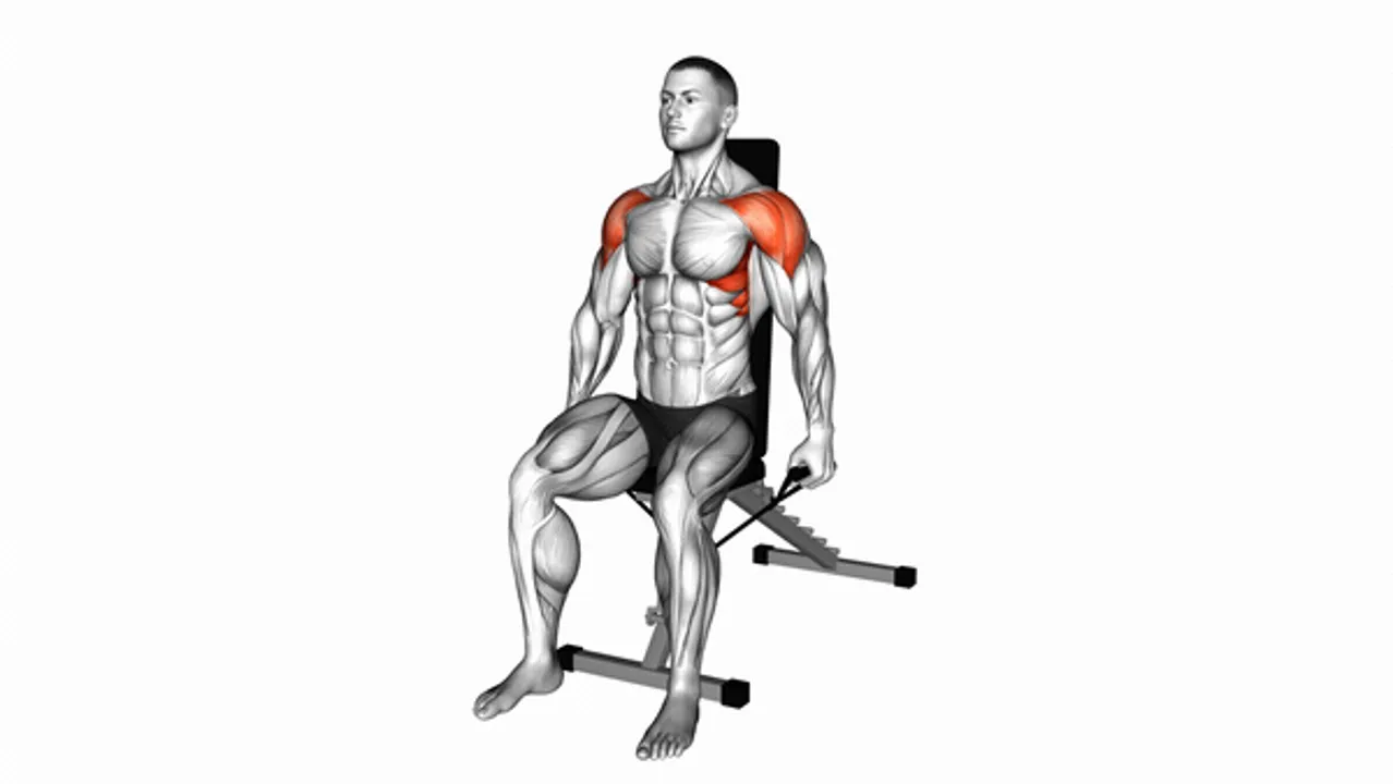 Band Seated Lateral Raise