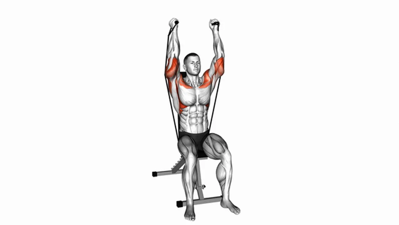 How to do the Band Seated Neutral Grip Shoulders Press? Image