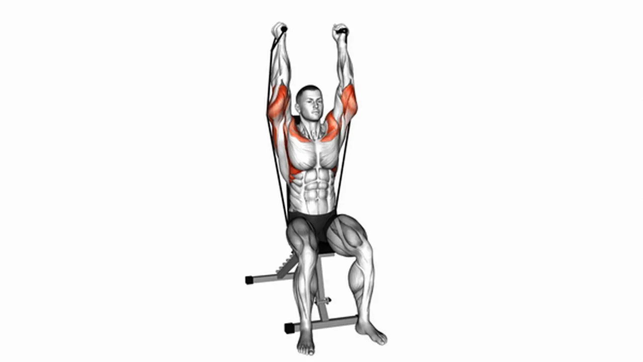 Common variations of the Band Seated Neutral Grip Shoulders Press Image