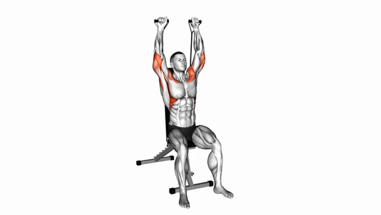 How to do the Band Seated Shoulder Press? Image