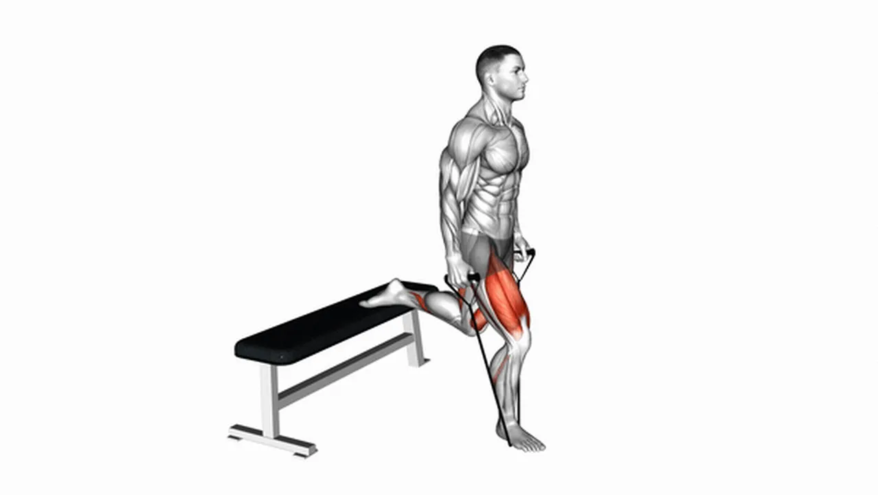 How to do Band Single Leg Split Squats? Image