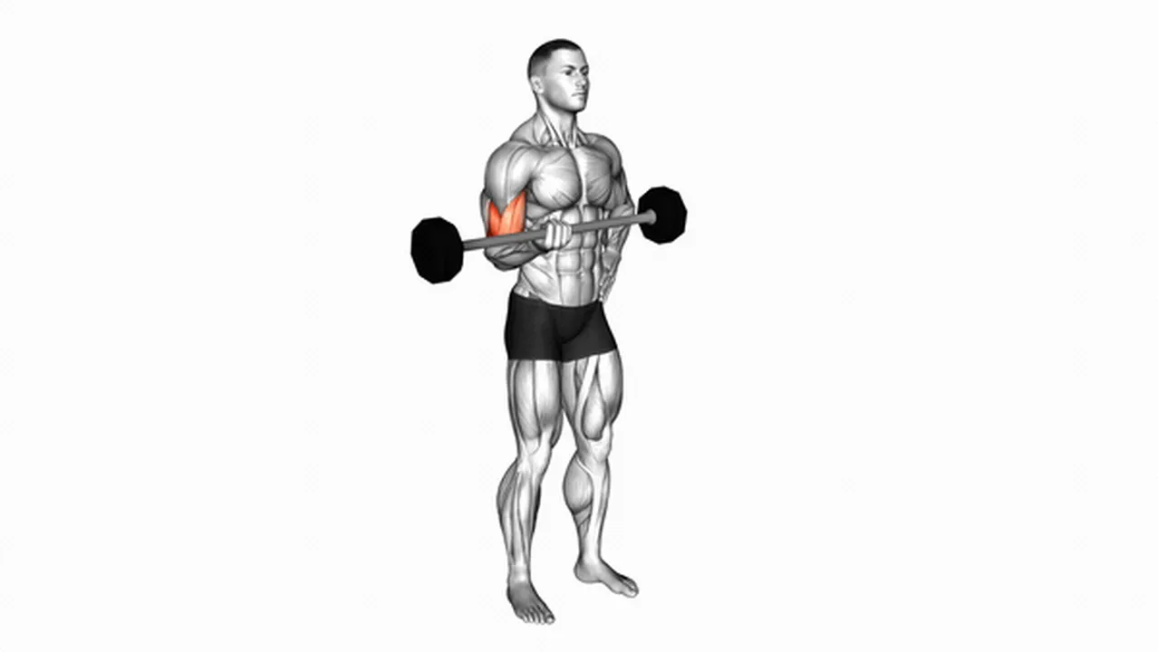 What are the benefits of the Barbell Alternate Biceps Curl? Image