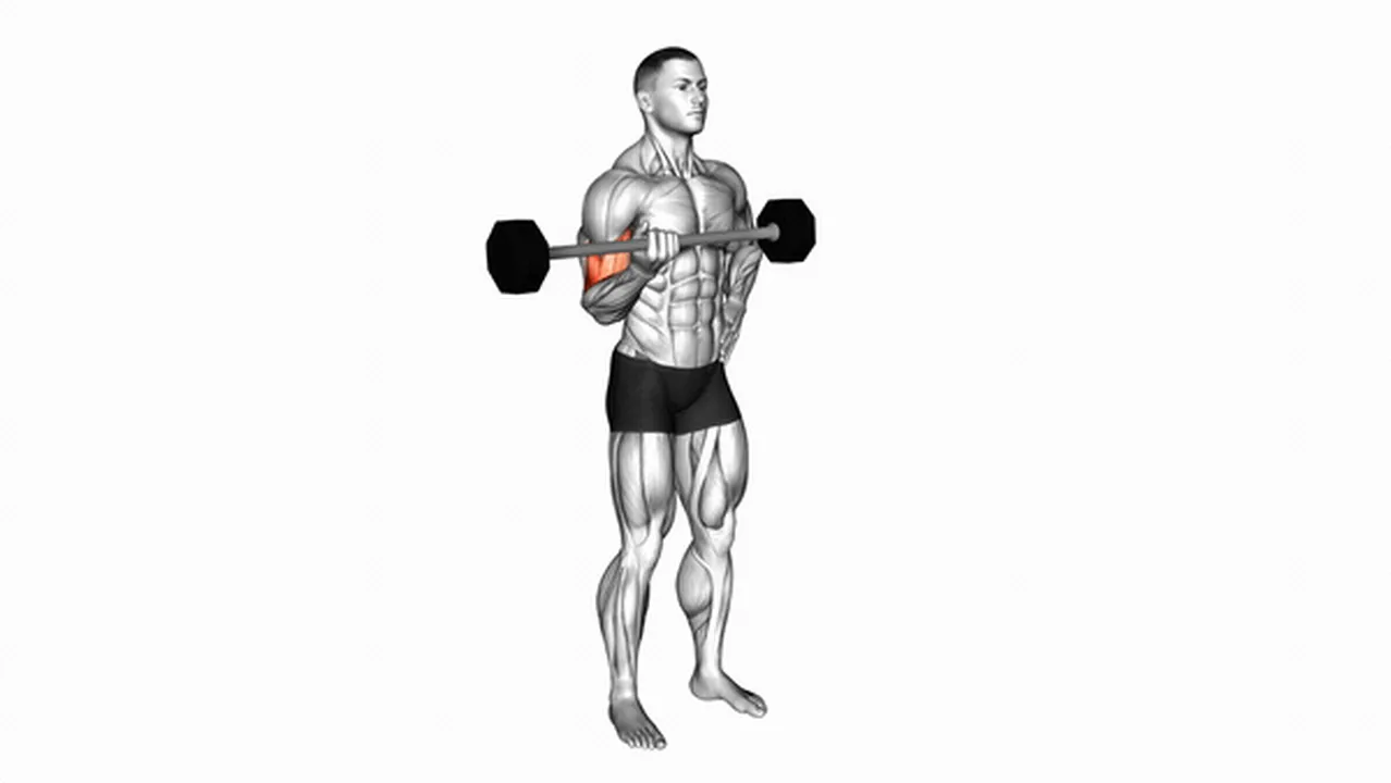 How to do the Barbell Alternate Biceps Curl? Image