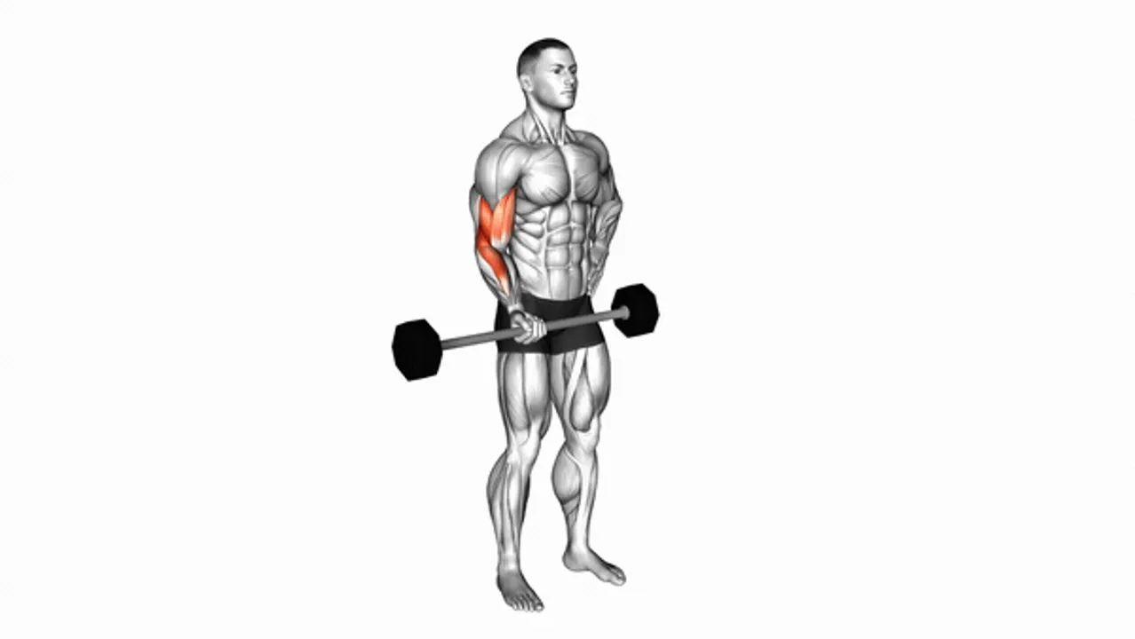 Barbell Alternate Biceps Curl