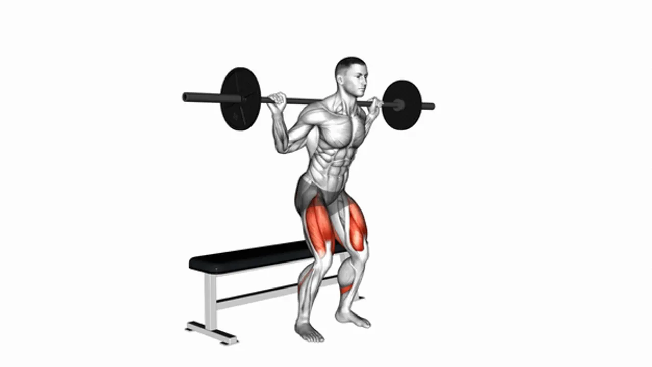 Barbell Bench Squat