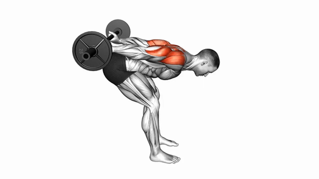 How to do Barbell Bent Over Reverse Raises? Image