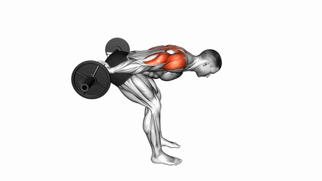 Common Barbell Bent Over Reverse Raise variations Image