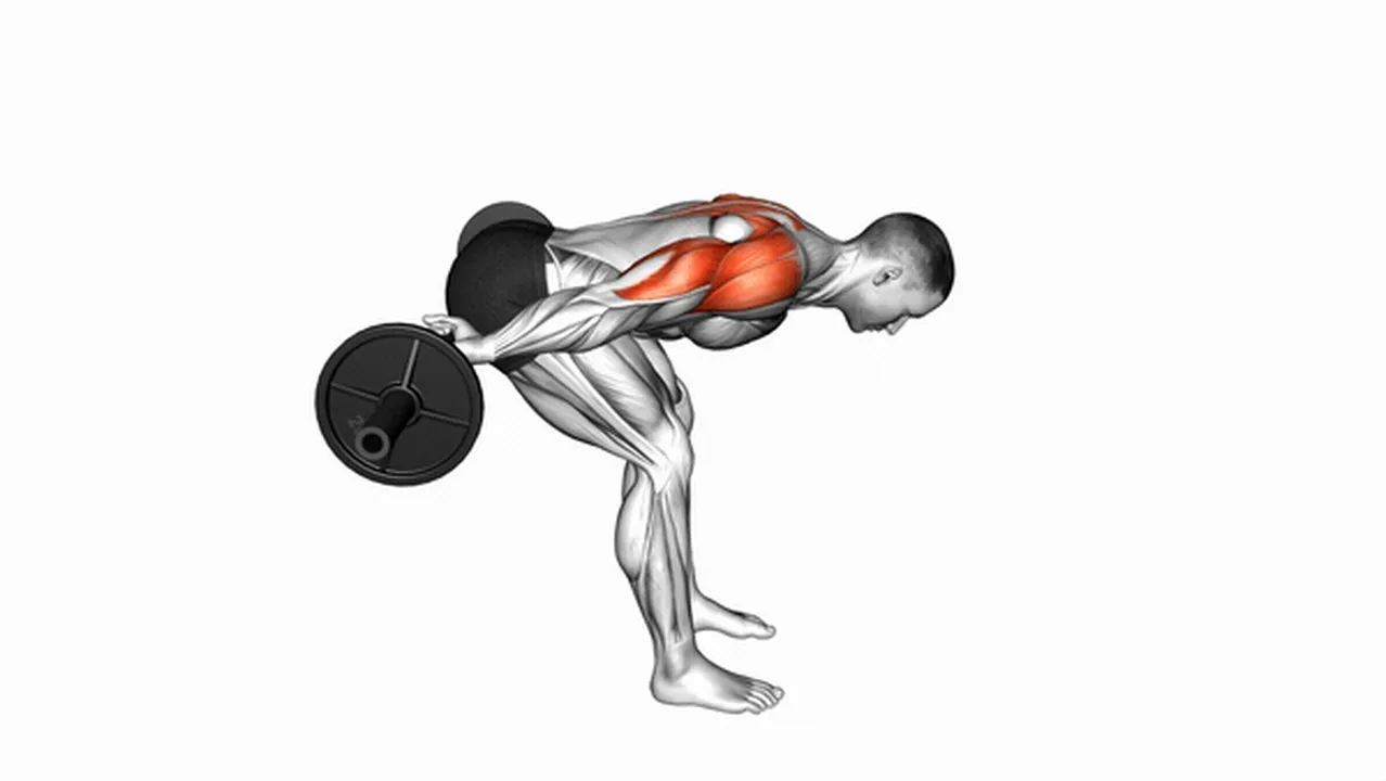 Alternatives to Barbell Bent Over Reverse Raises Image