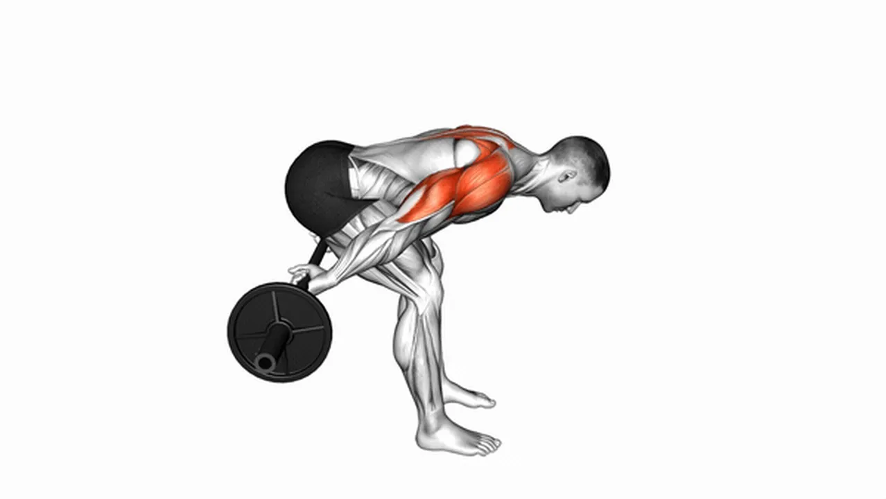 Common mistakes during Barbell Bent Over Reverse Raises Image