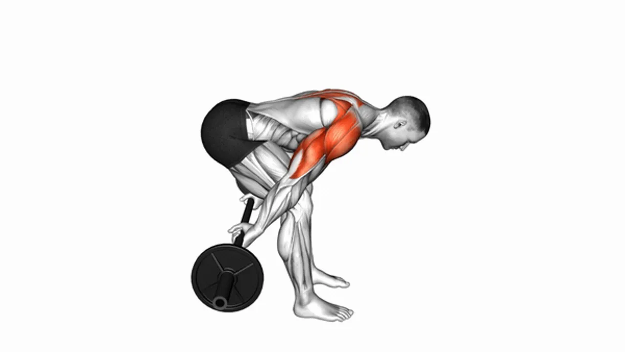 Barbell Bent Over Reverse Raise