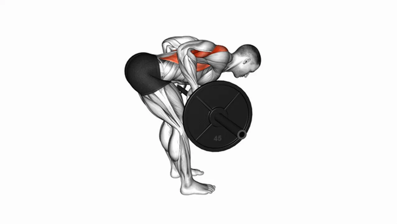 Variations of Barbell Bent Over Rows Image