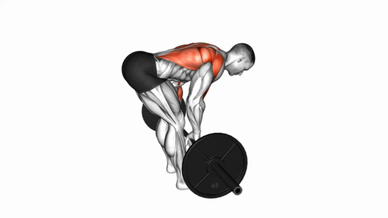 Barbell Bent Over Rows