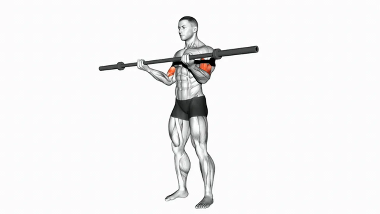 How to do Barbell Curls? Image