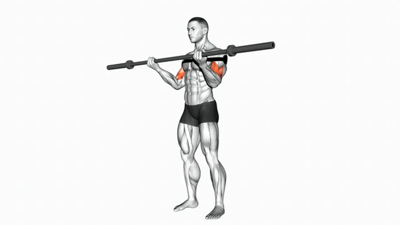 Common Barbell Curl variations Image