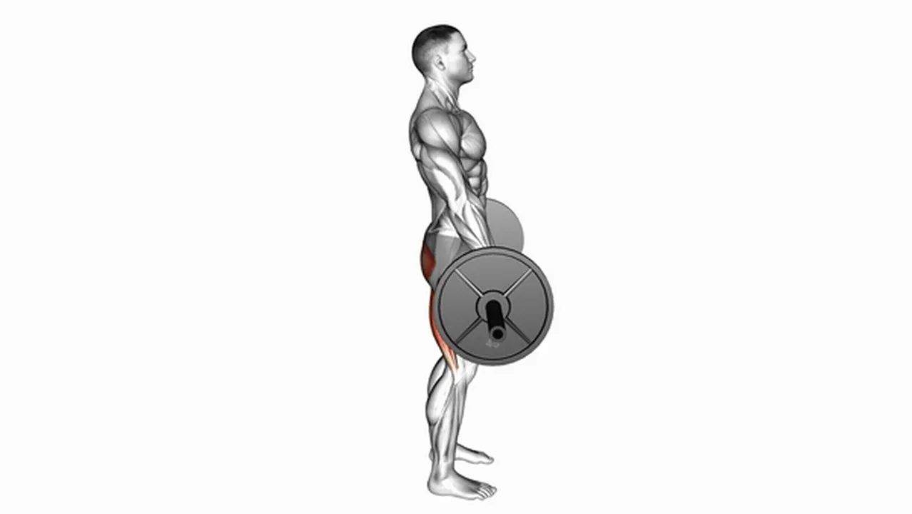 How to do Barbell Dimel Deadlifts? Image