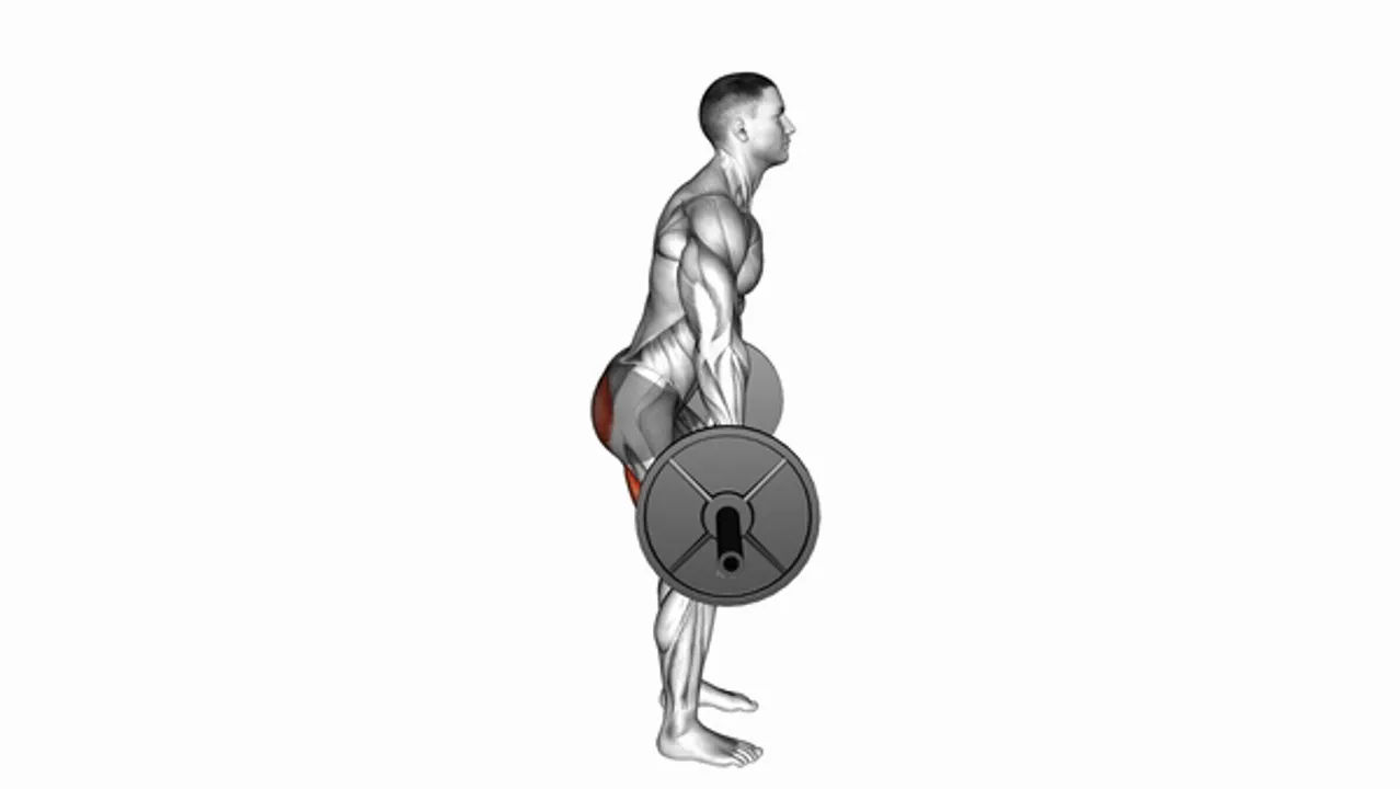 Barbell Dimel Deadlift