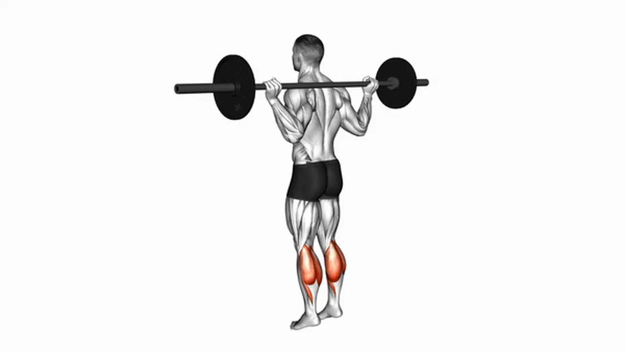 Common Barbell Floor Calf Raise variations Image