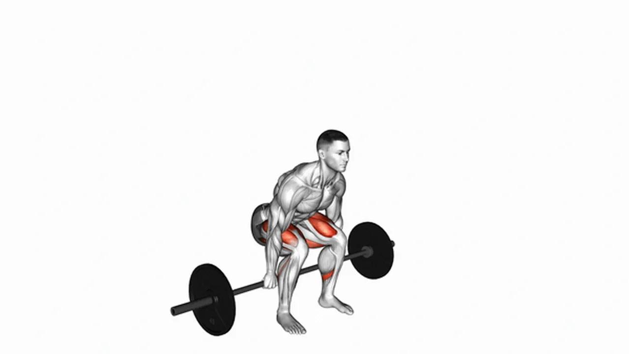 Common Barbell Hack Squat variations Image