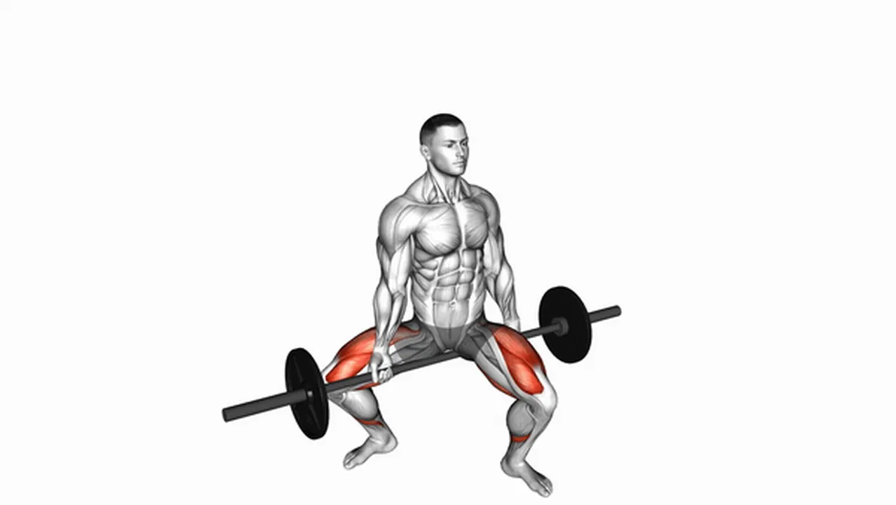 Alternatives to Barbell Jefferson Squats Image