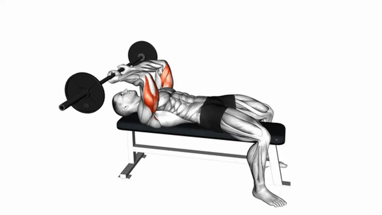 Barbell Lying Triceps Extension (Skull Crusher)