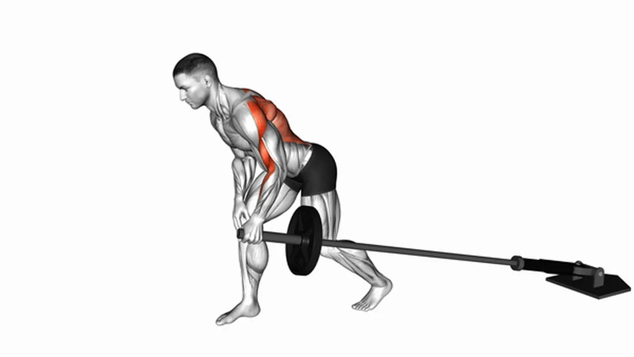 What are the benefits of Barbell One-Arm Bent-Over Rows? Image